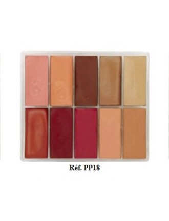 Value Edition Maqpro Palette Fard Creme (Crème de maquillage) 10 couleurs