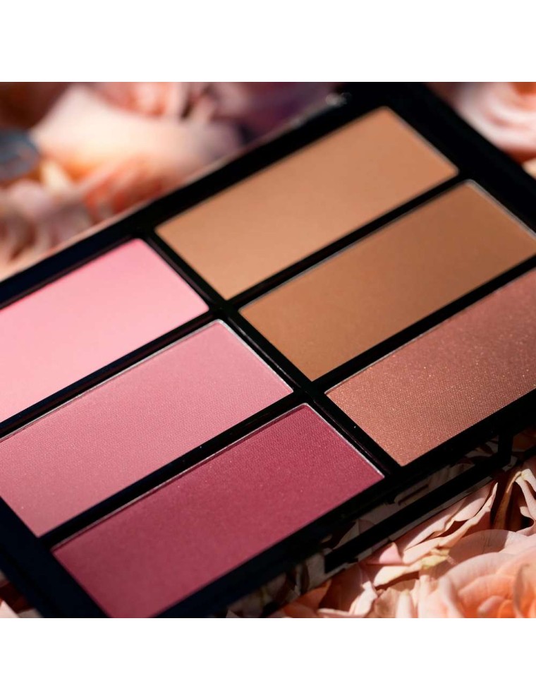 Value Edition Palette de BLUSH Viseart 6 couleurs