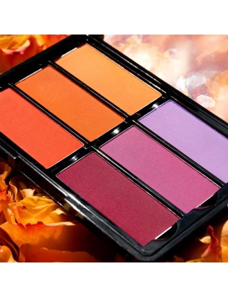 Value Edition Palette de BLUSH Viseart 6 couleurs