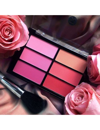 Value Edition Palette de BLUSH Viseart 6 couleurs