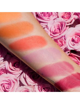 Value Edition Palette de BLUSH Viseart 6 couleurs