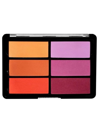 Value Edition Palette de BLUSH Viseart 6 couleurs