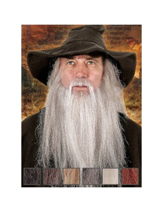 Value Edition Sorcier avec une longue barbe et une moustache