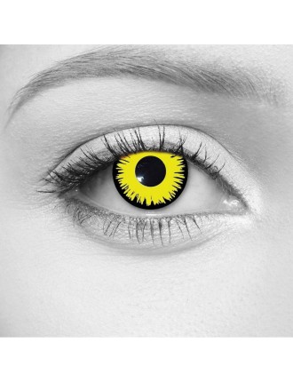 Value Edition Angelic Yellow Lentilles jaunes - Eclipse Yellow