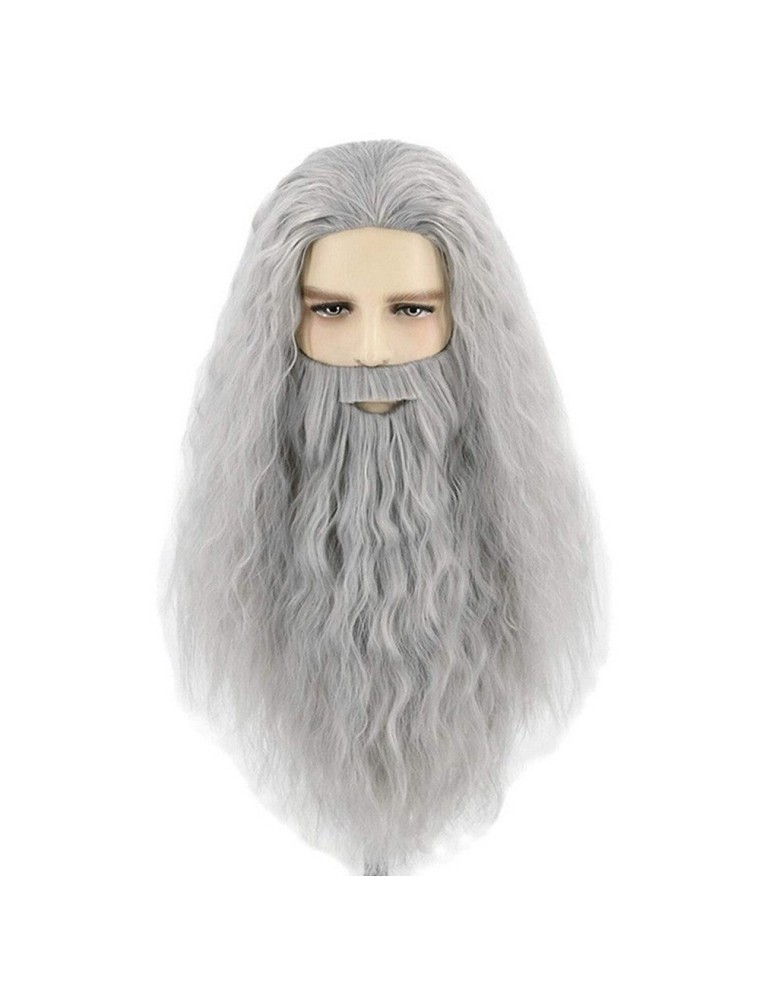 Value Edition Perruque et barbe de magicien - Gris