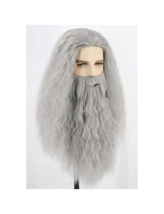 Value Edition Perruque et barbe de magicien - Gris