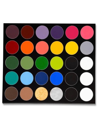 Value Edition Mehron Paradise AQ 30 Palette de couleurs Pro