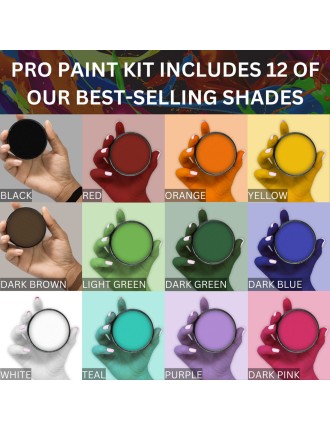 Value Edition MEHRON Paradise AQ Pro-Palette A -12 couleurs