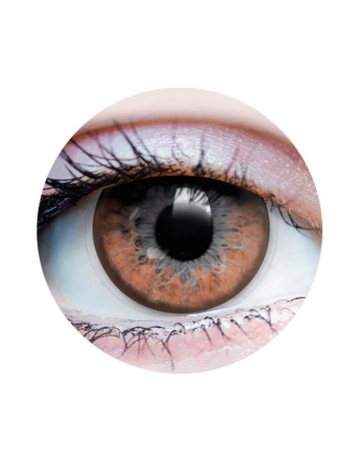 Value Edition Lentilles de contact Twilight Hazel - Marron