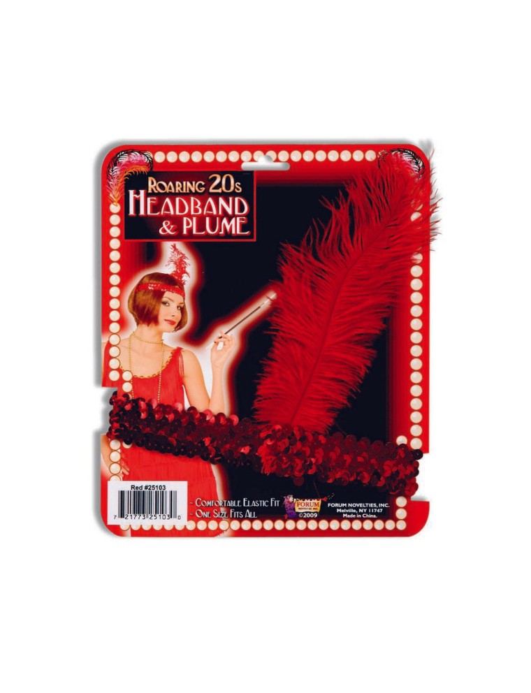 Value Edition Bandeau de flapper et plume - Années folles